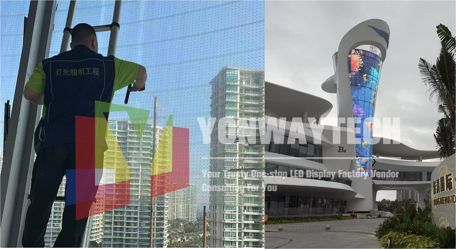 Adhesive Transprent LED Film Screen P4 P5 P6 P8 P10 Bendable Light Weight Film LED Display