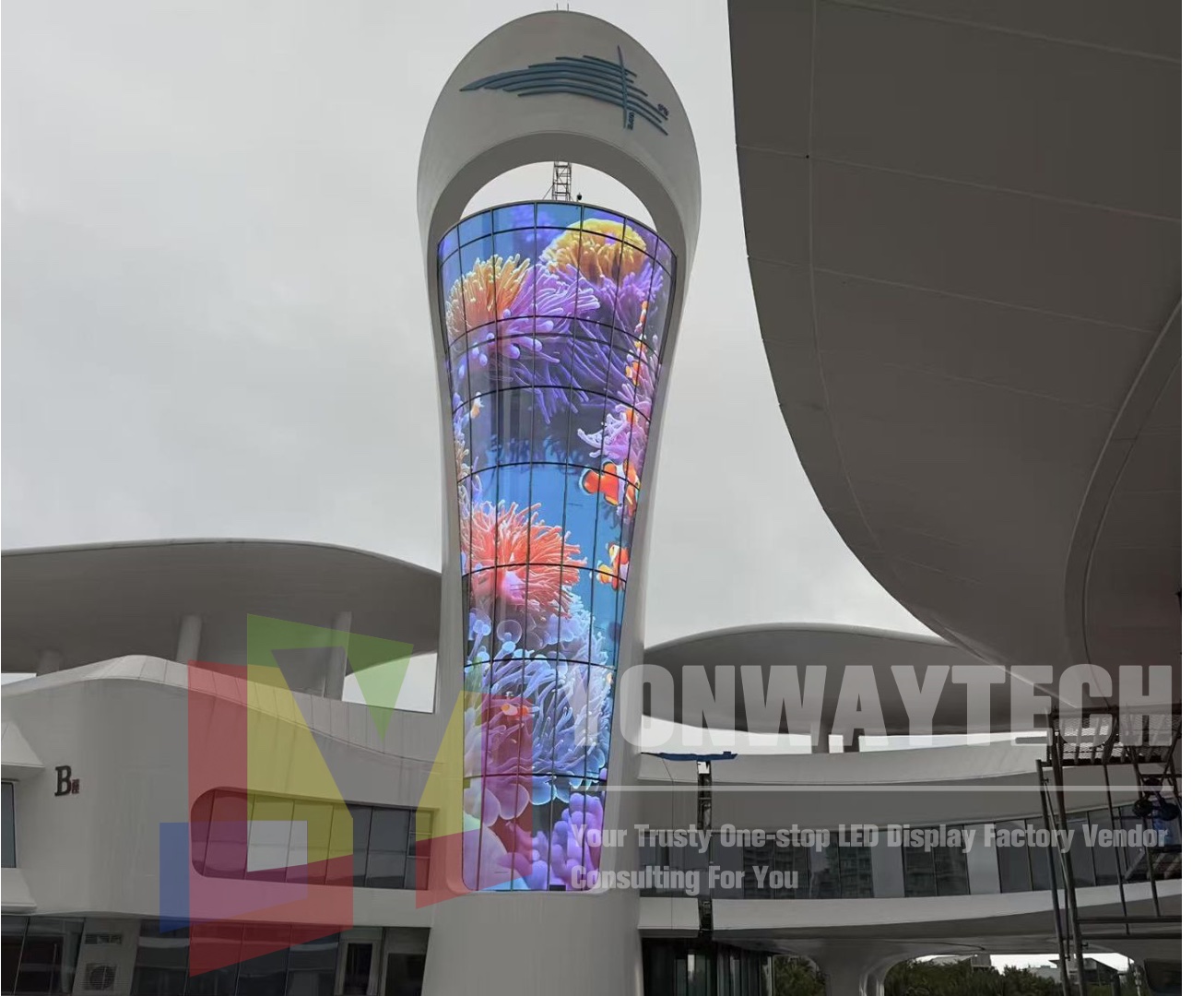 Adhesive Transprent LED Screen P4 P5 P6 P8 P10 P16 Bendable Light Weight Film LED Display